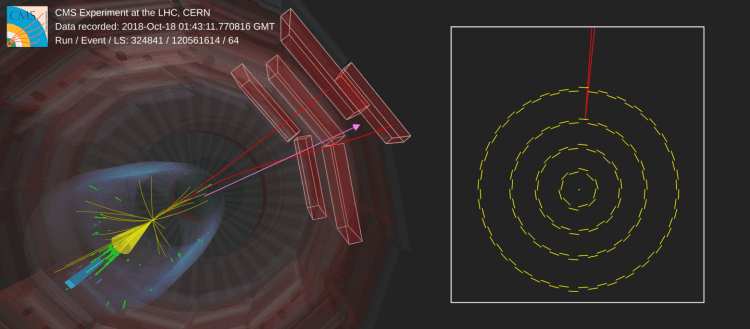 Event visualization of candidate signal in the inelastic dark matter model