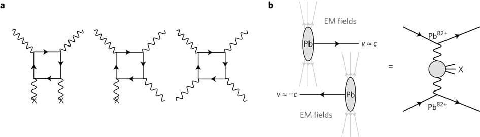 Feynman diagrams